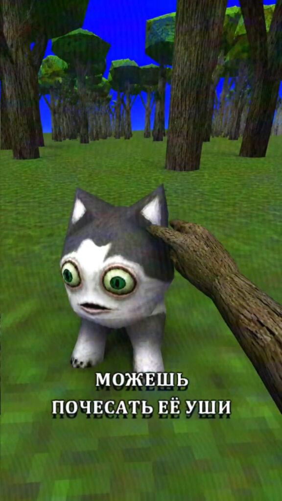 Кокша в Зазеркалье — как приручить и какие Кокши бывают